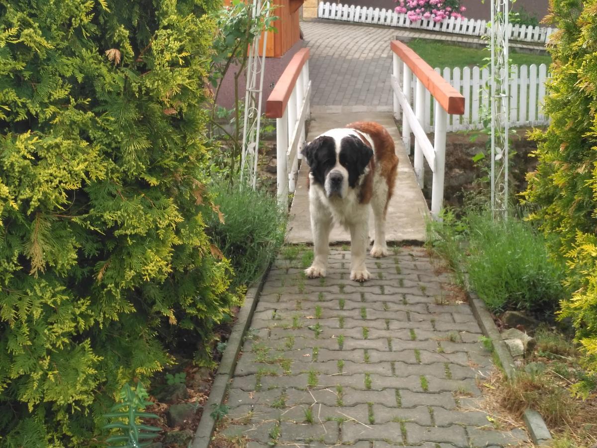 Penzion U Bernardýna Tachov  Esterno foto